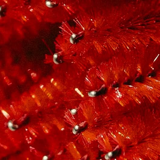 Brow and Lash combo x3 Package at MidWest Wax & Brow Co. in Chardon, OH